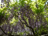 img0024.jpg