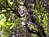 img0025.jpg