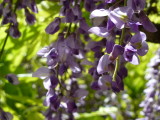 img0026.jpg