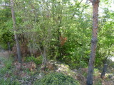 img0040.jpg