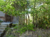 img0043.jpg