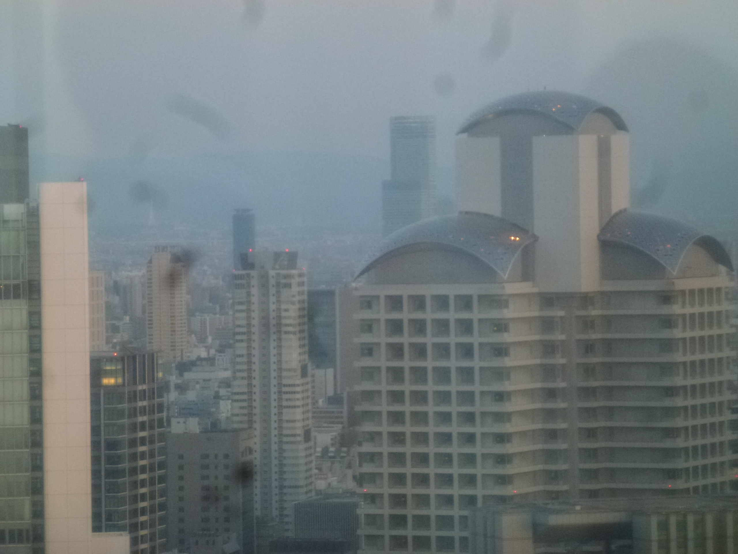 P1160546.JPG