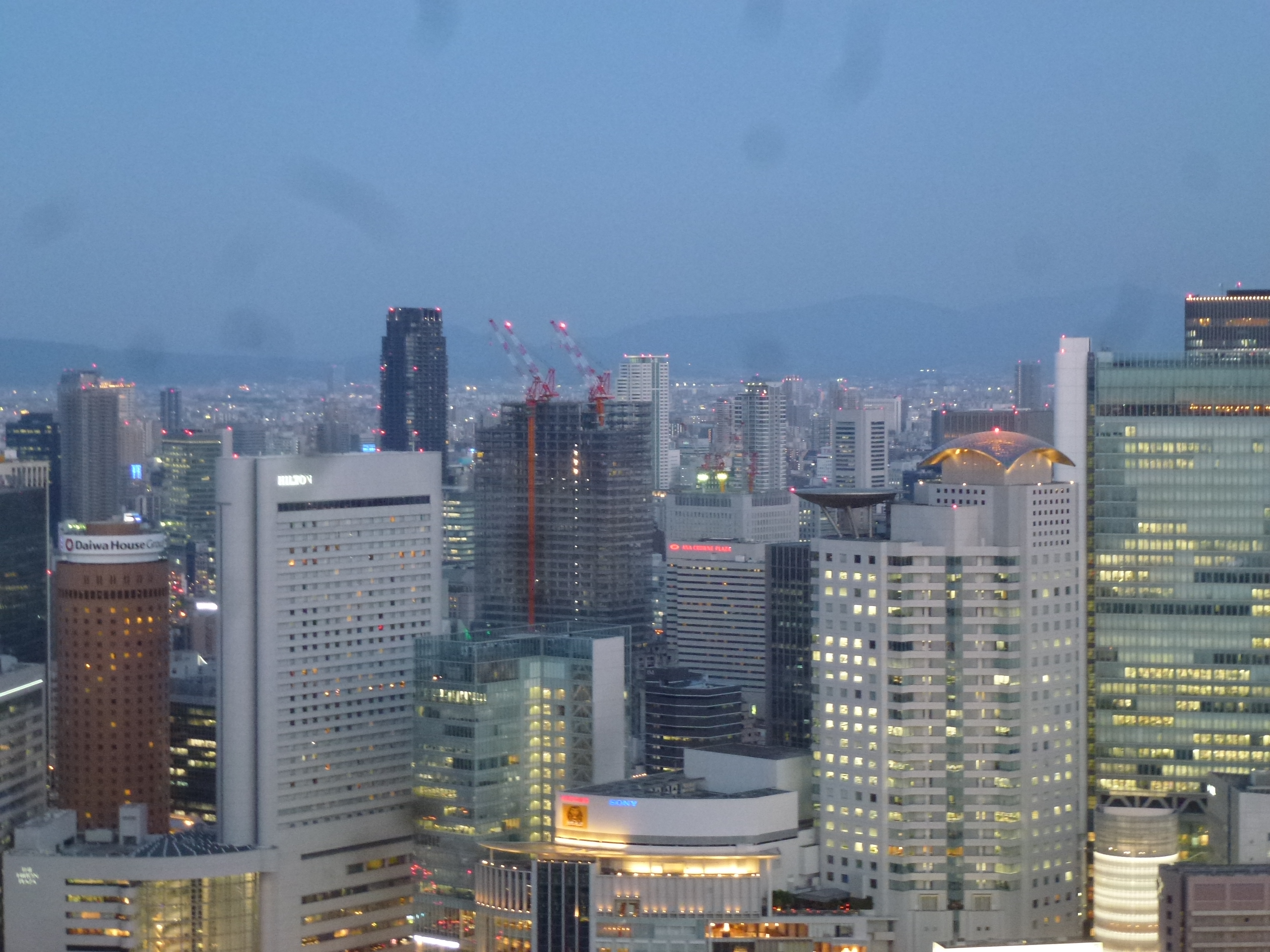 P1160548.JPG