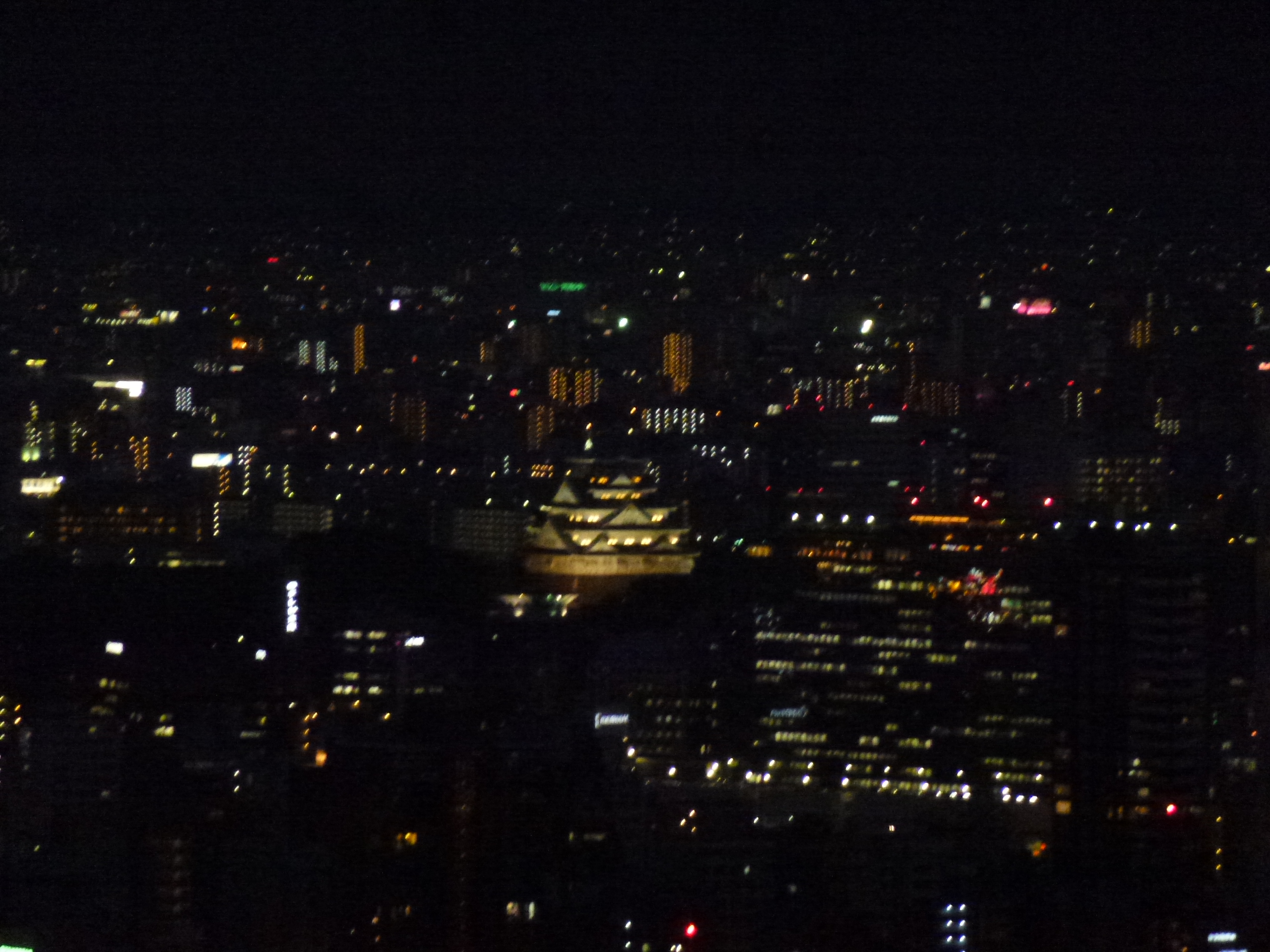 P1160549.JPG