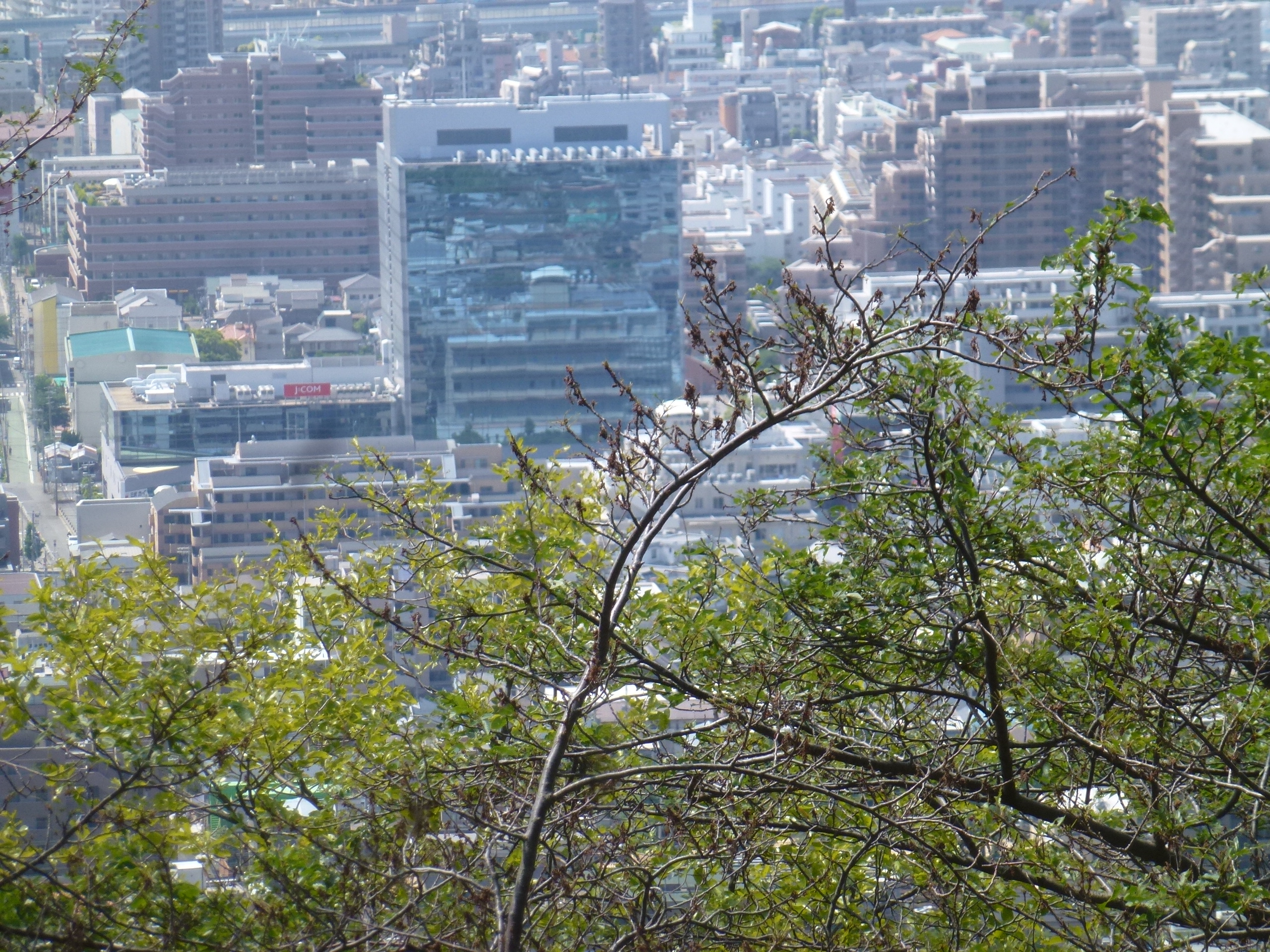 P1160553.JPG