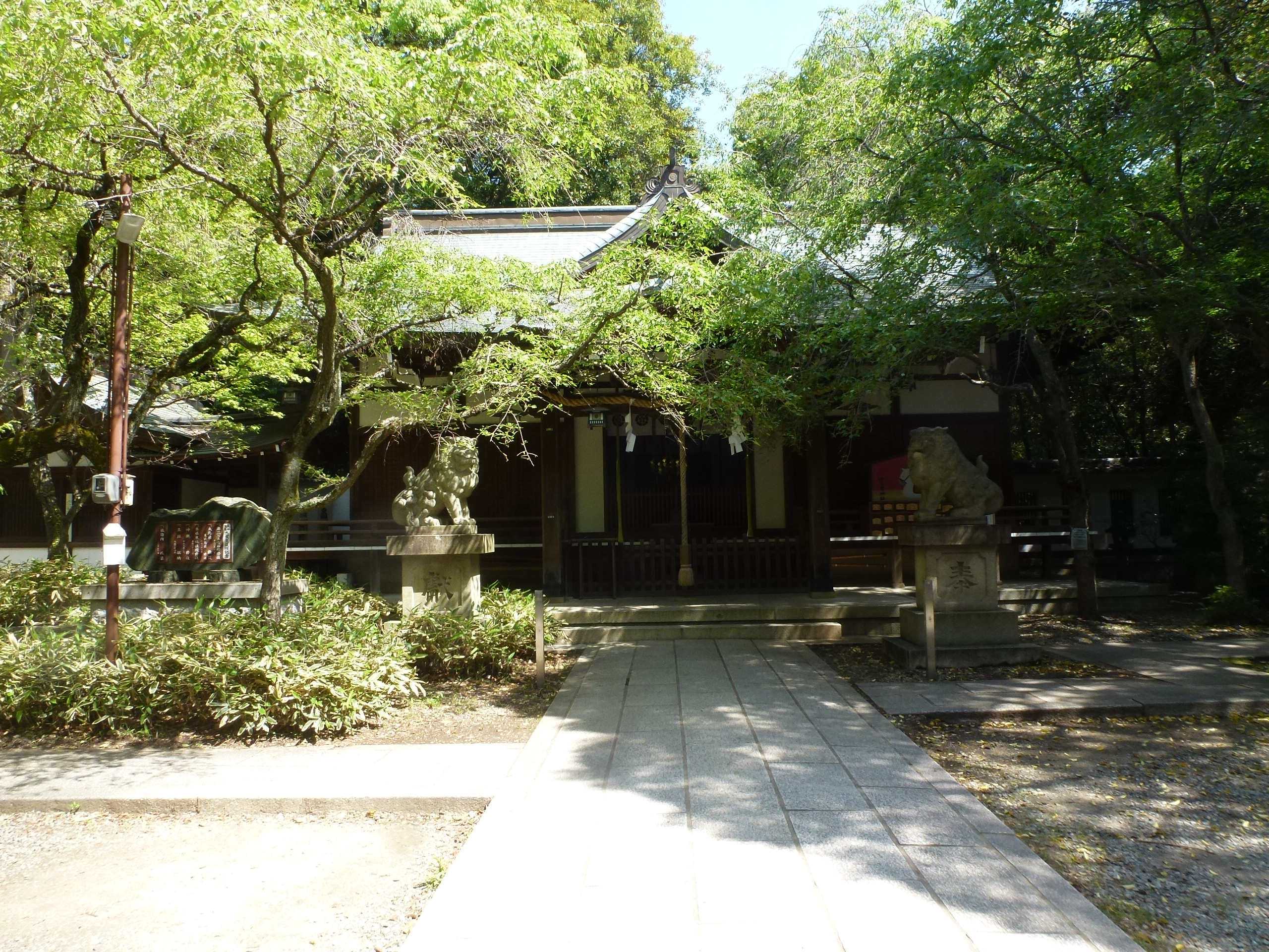 P1160556.JPG