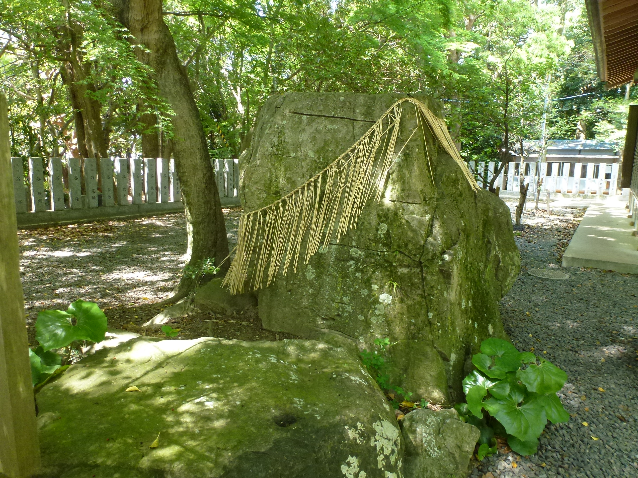 P1160558.JPG