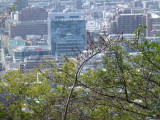 img0001.jpg