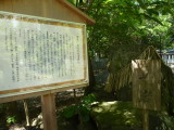 img0005.jpg