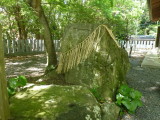 img0006.jpg