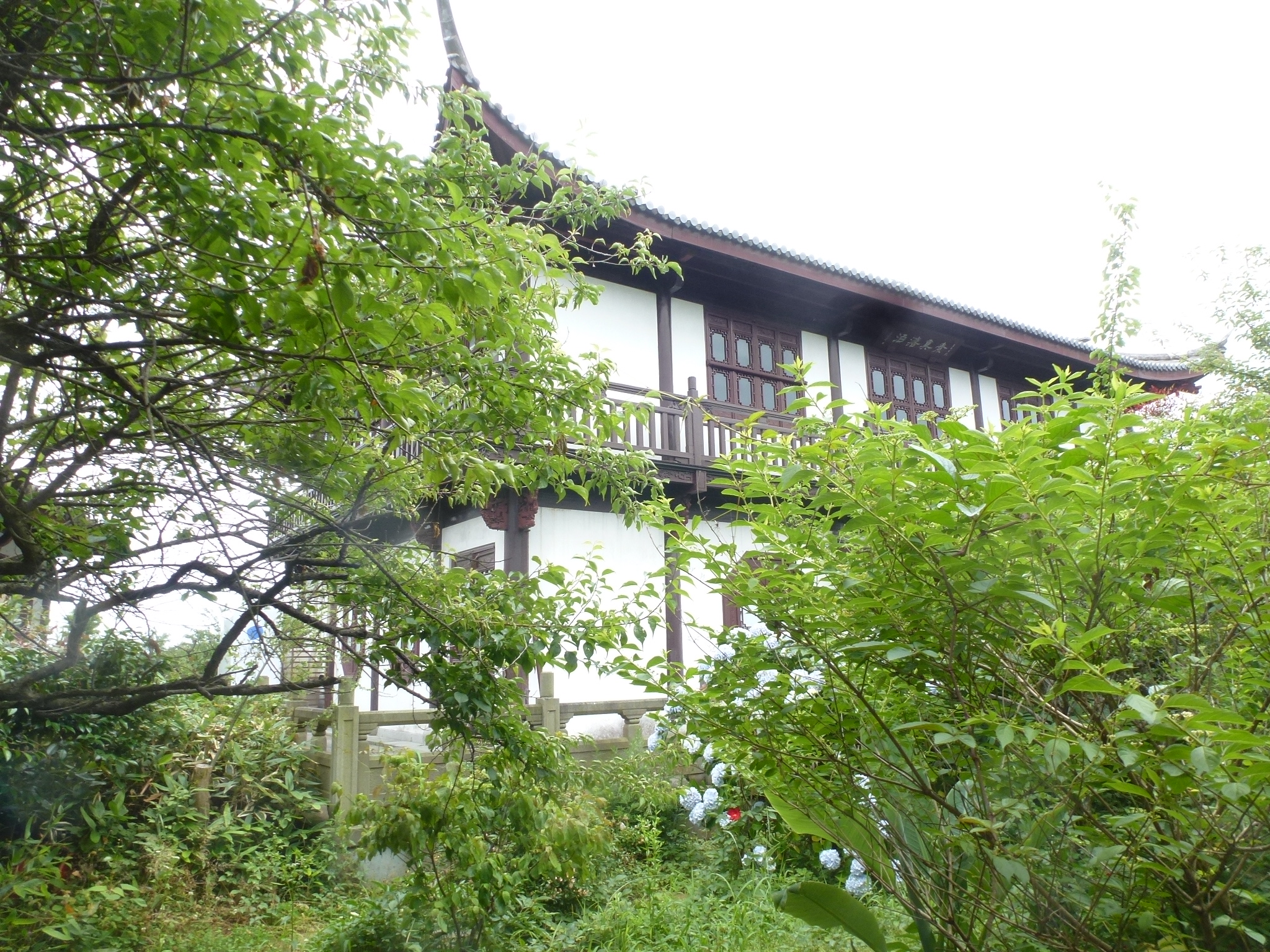 P1160643.JPG