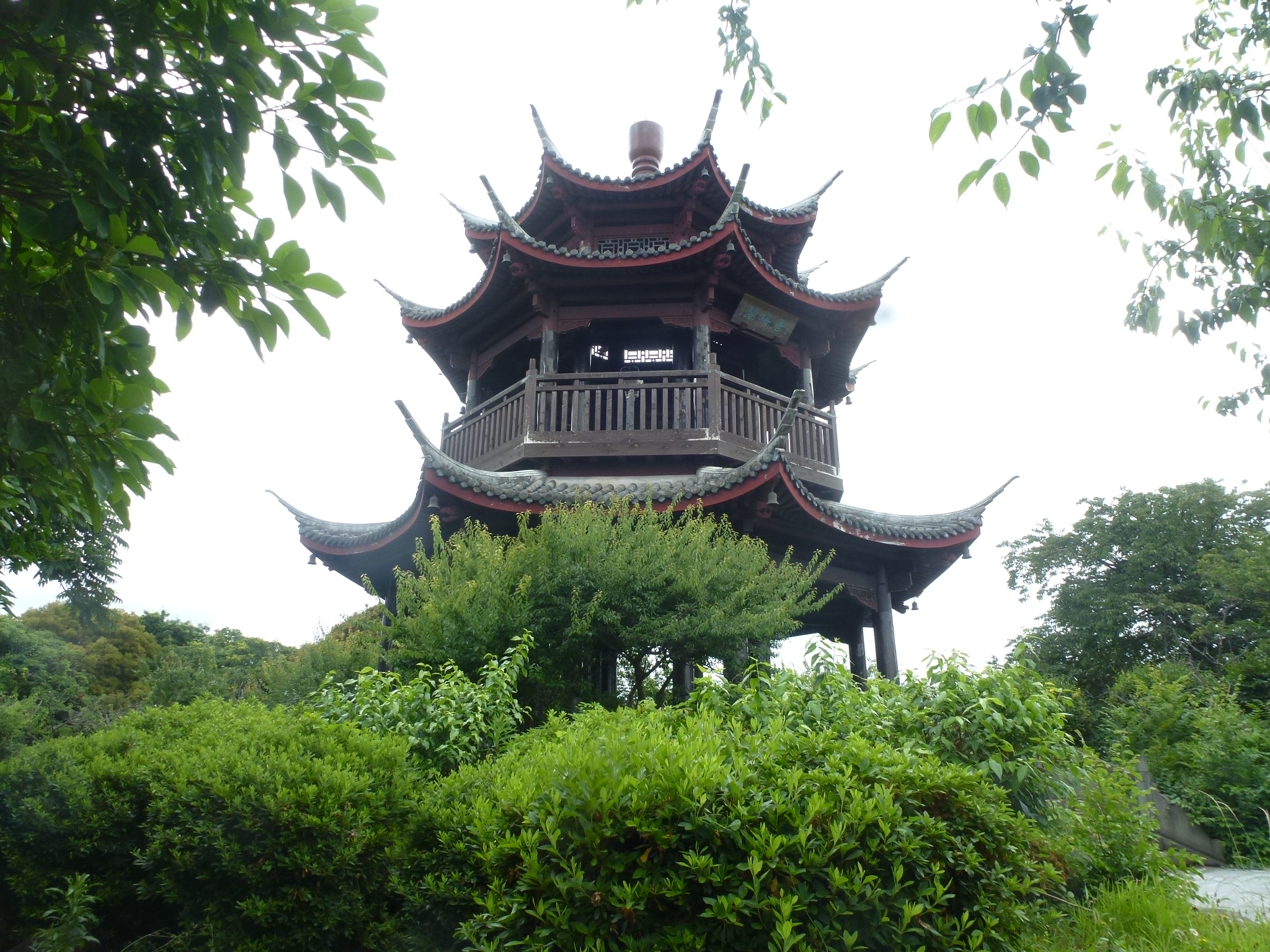 P1160644.JPG