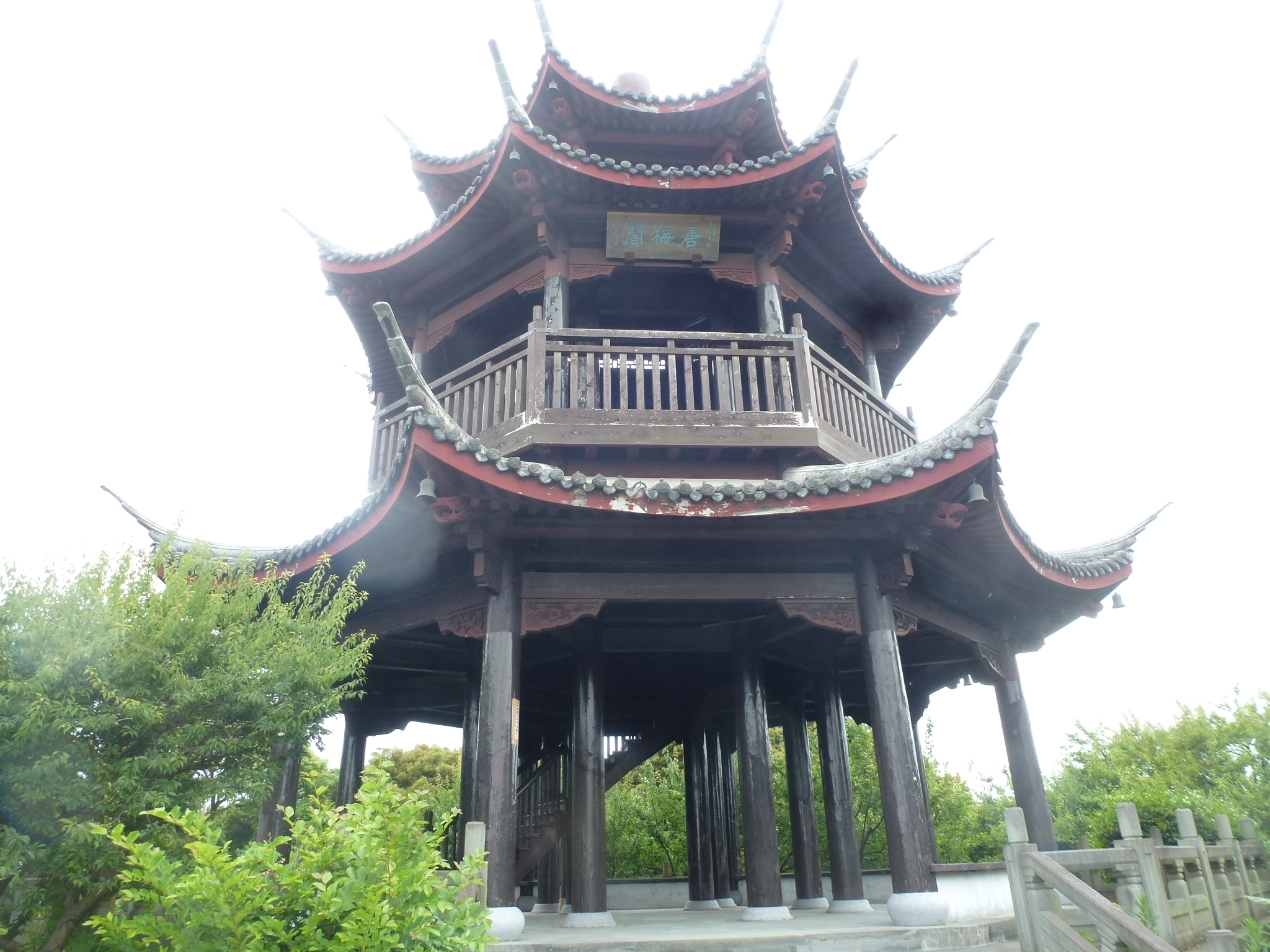 P1160645.JPG