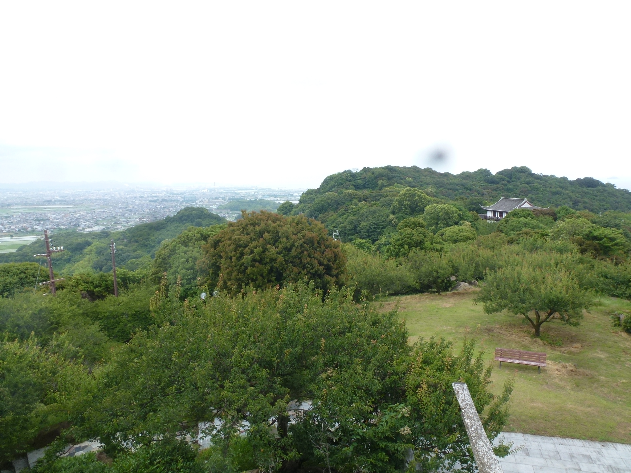 P1160646.JPG