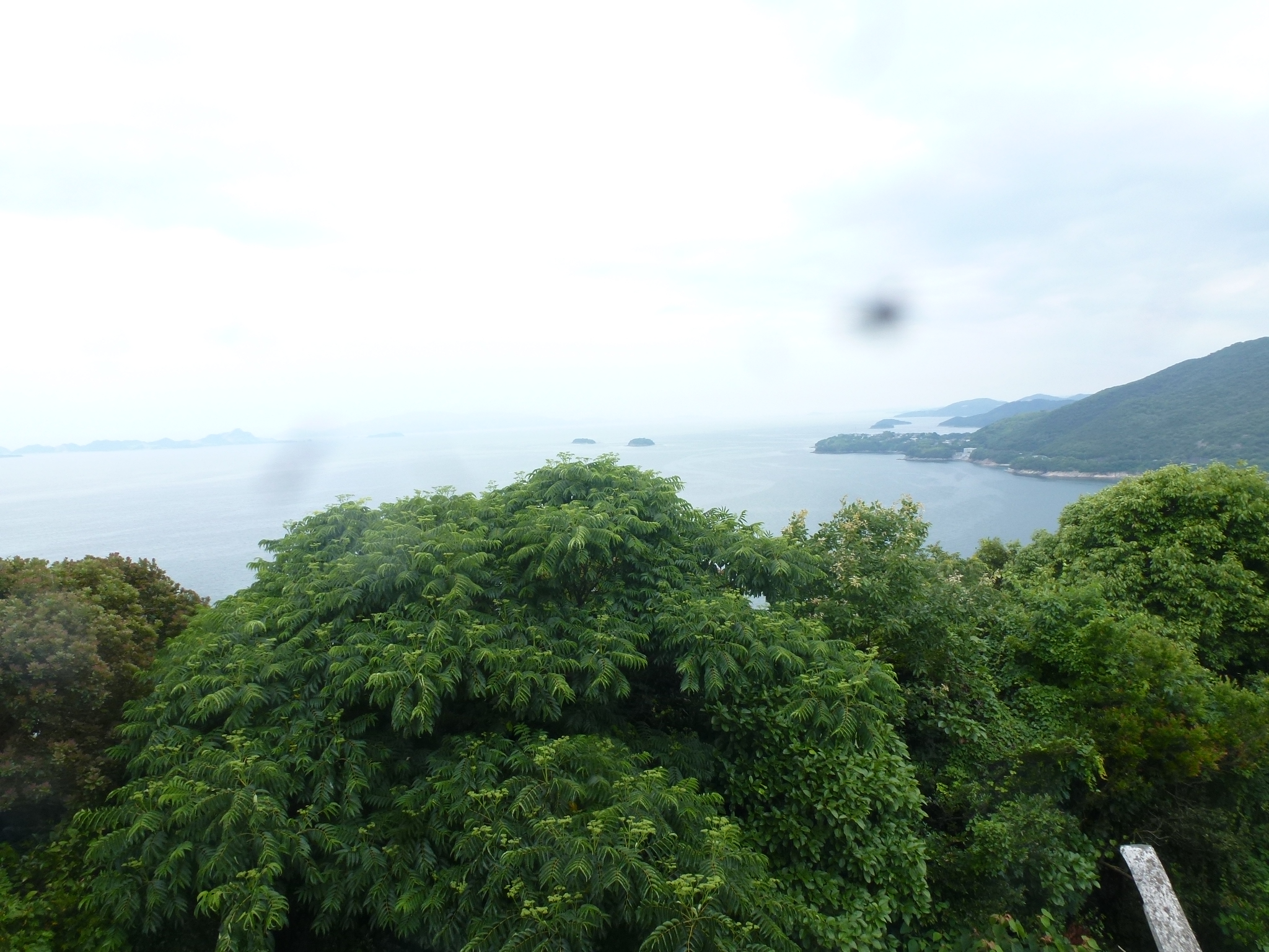 P1160647.JPG