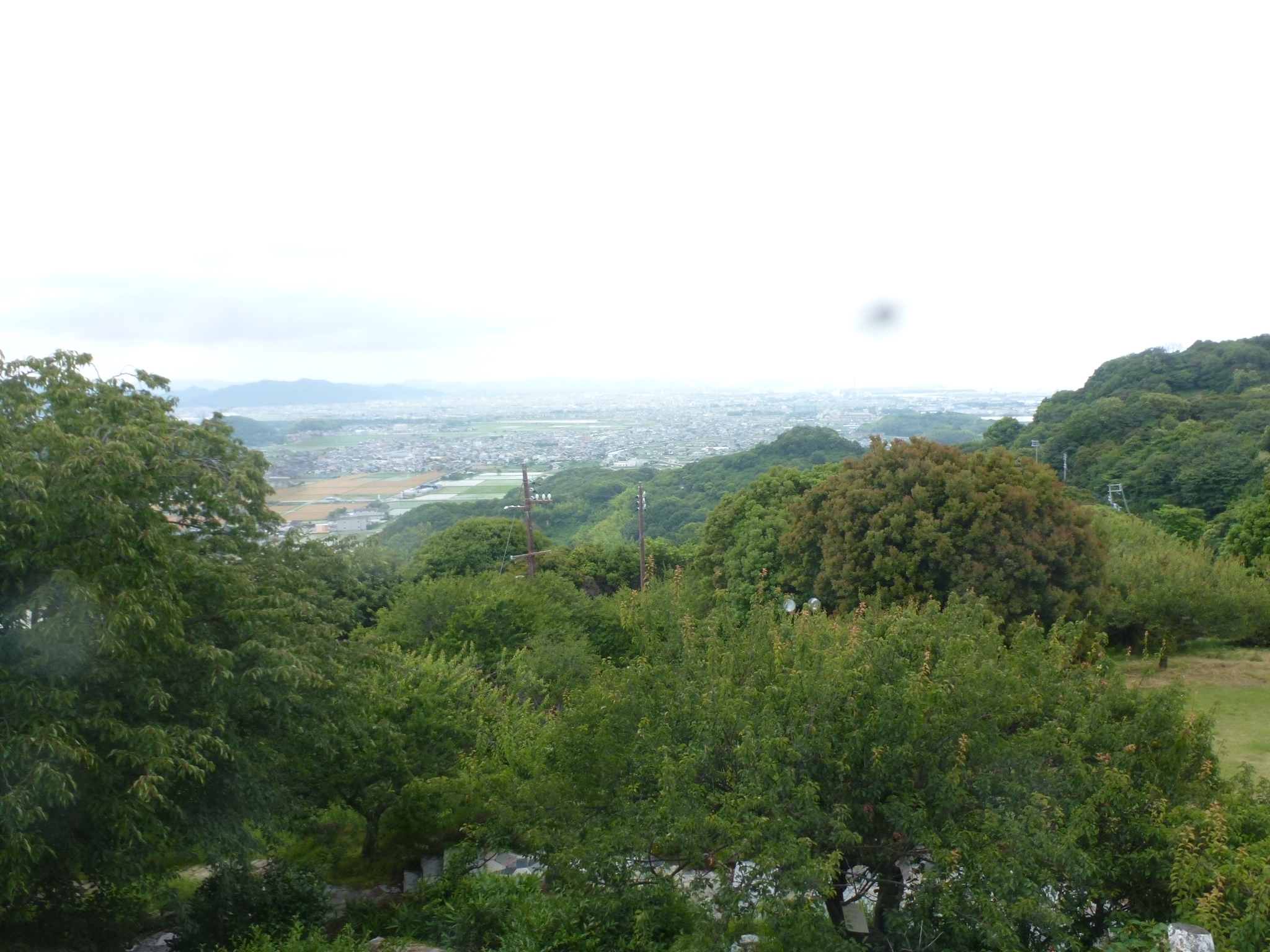 P1160649.JPG