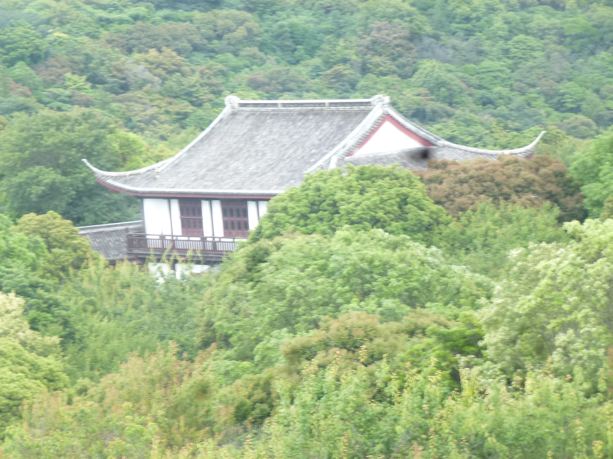 P1160650.JPG
