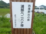 img0000.jpg