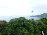 img0013.jpg