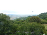 img0014.jpg