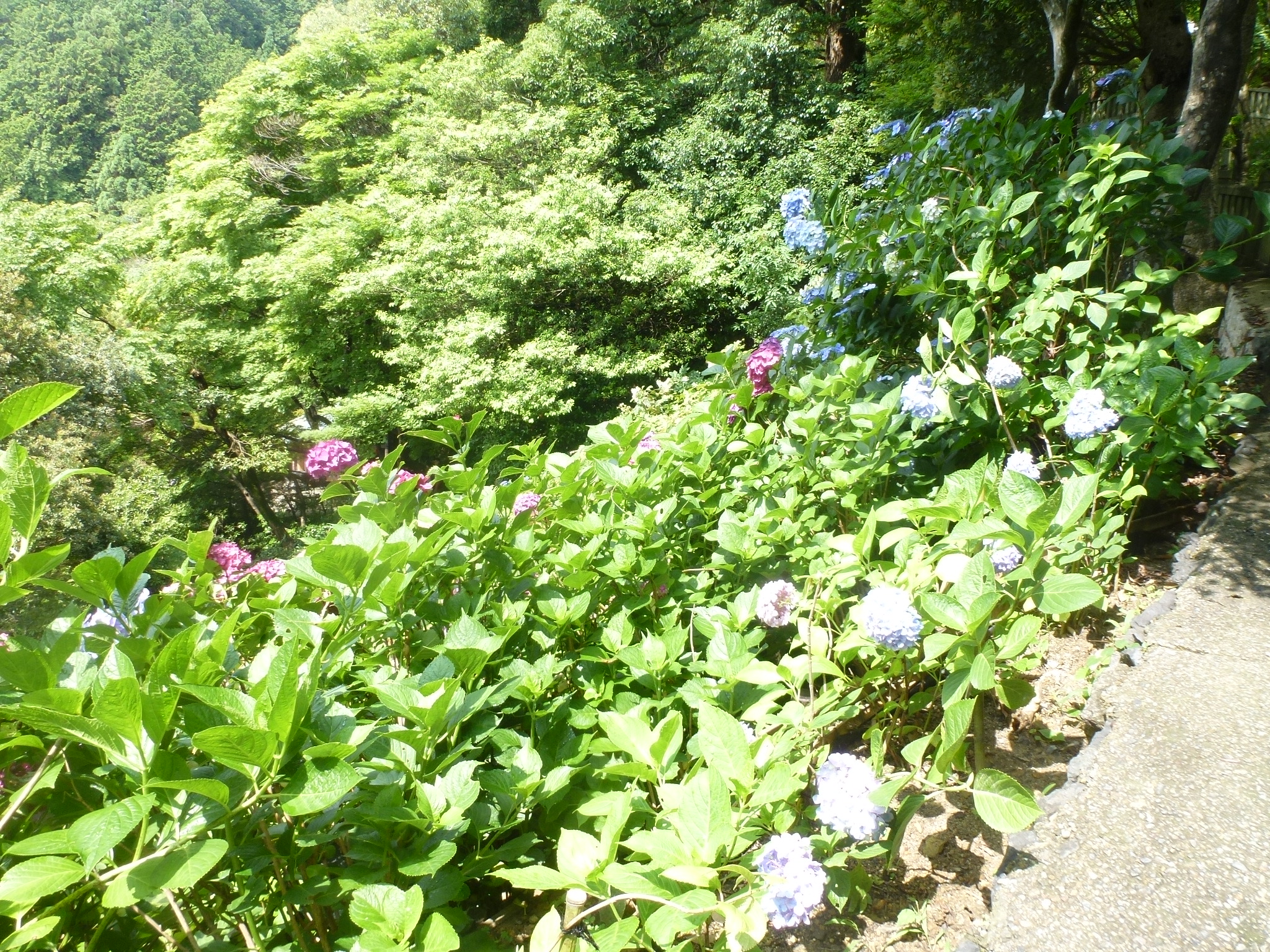 P1160666.JPG