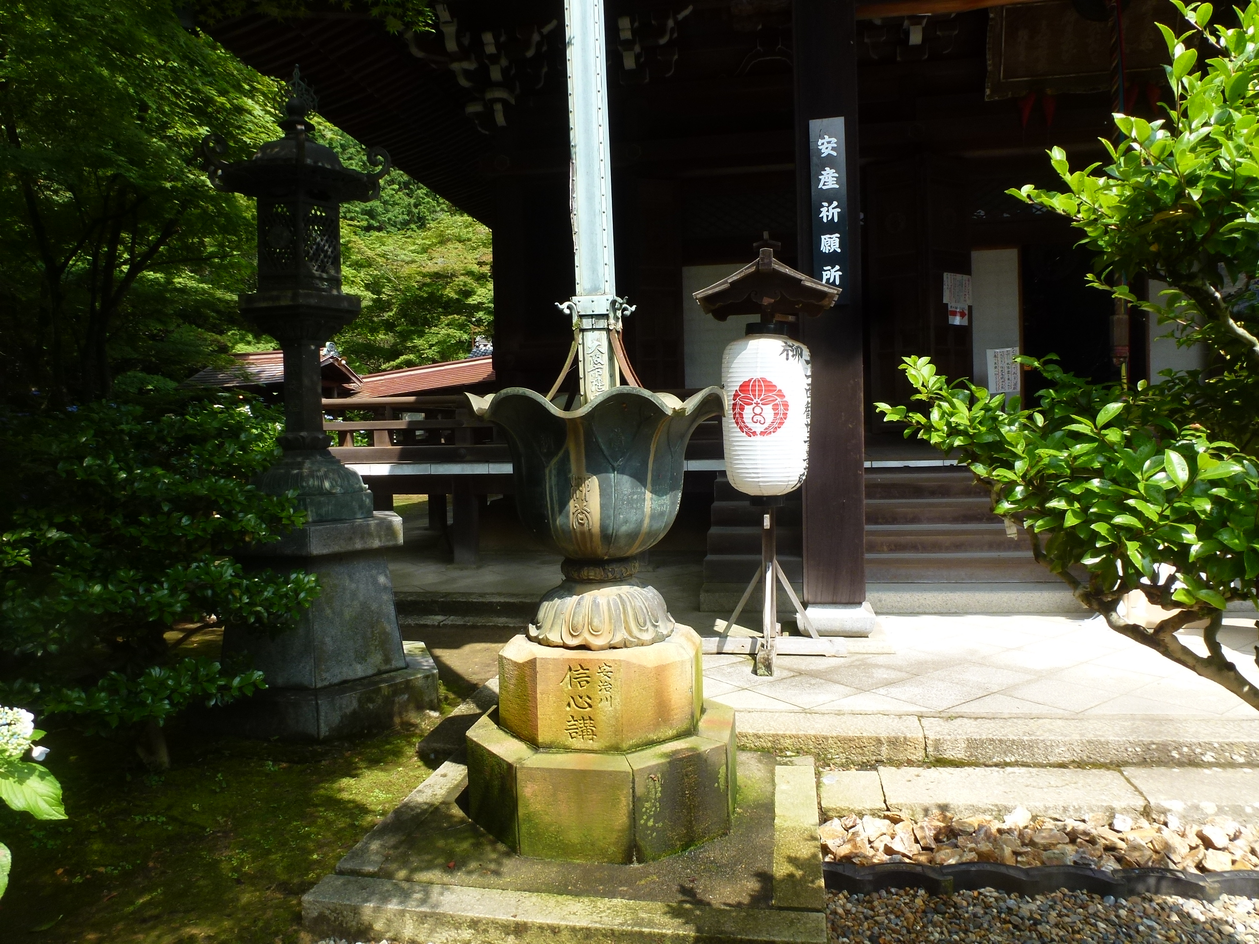 P1160668.JPG