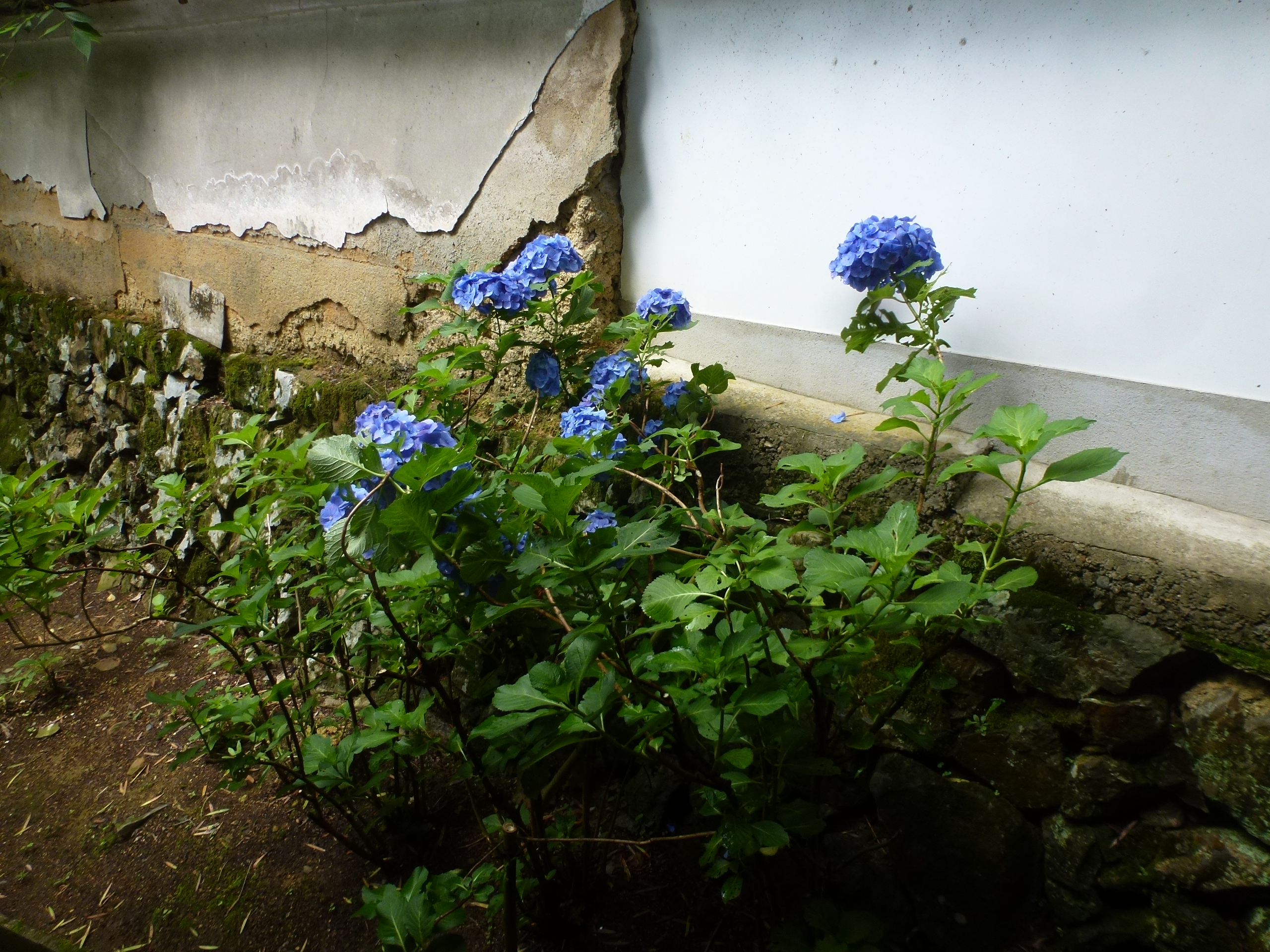 P1160672.JPG