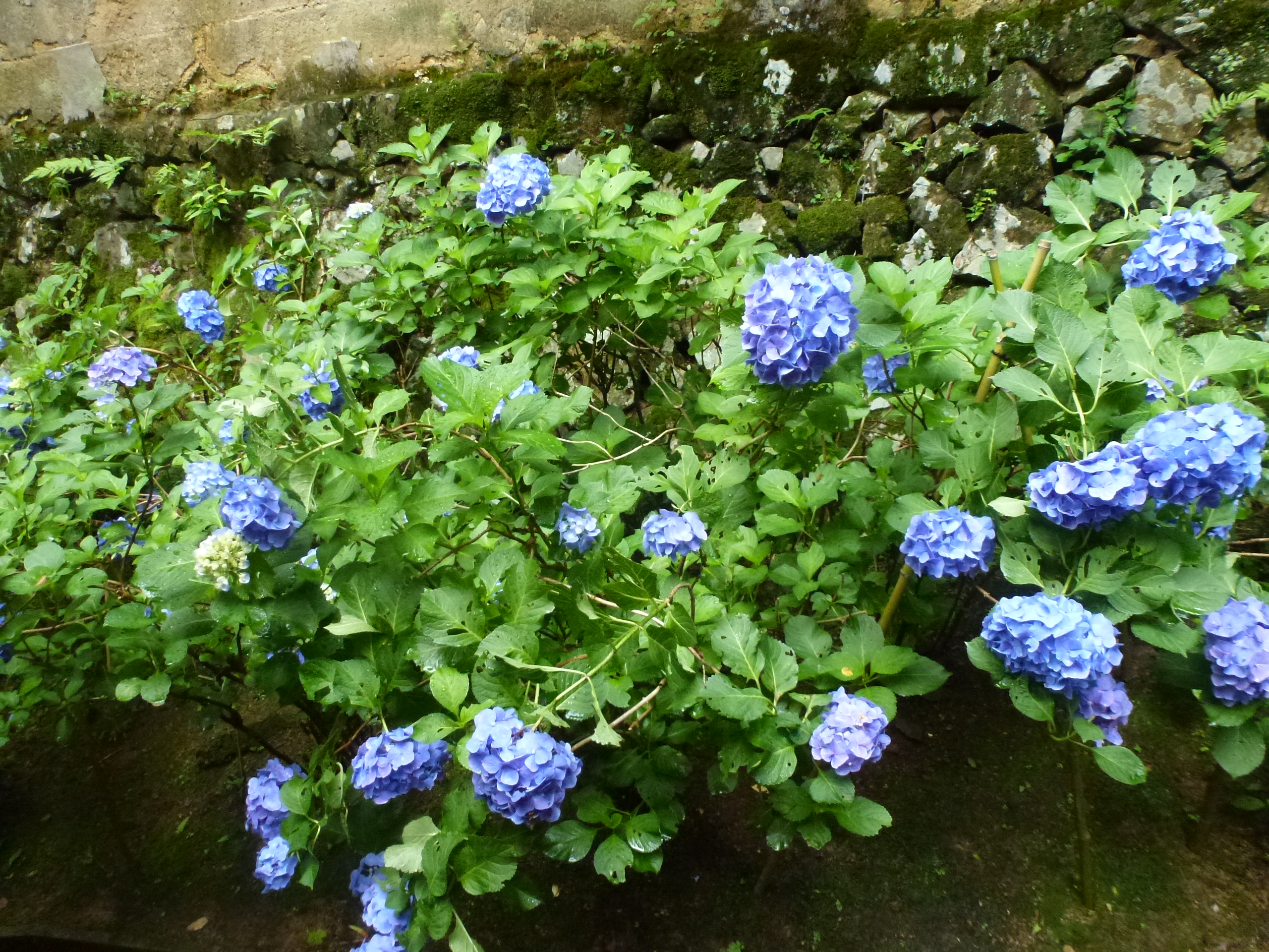 P1160674.JPG