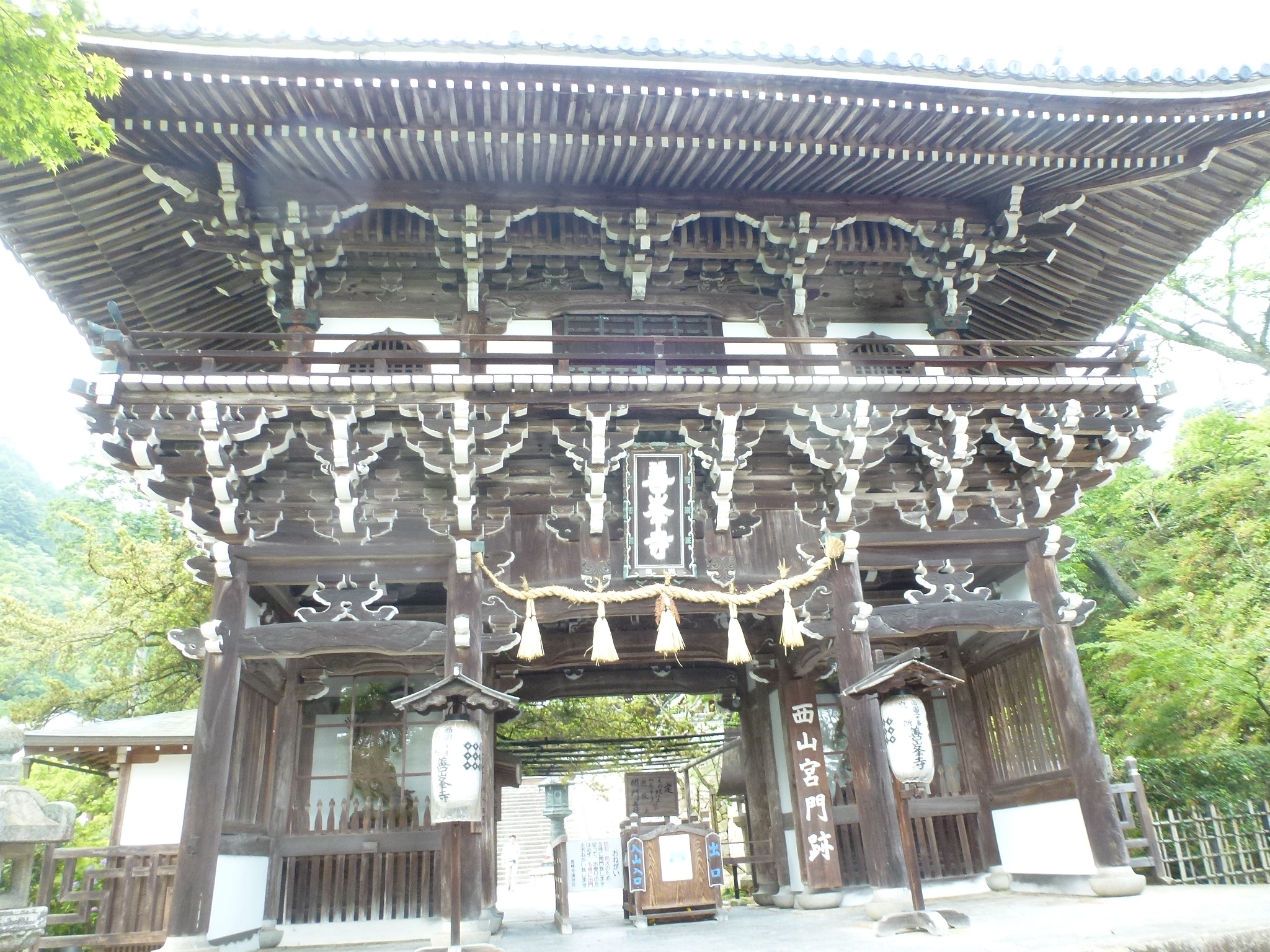 P1160679.JPG