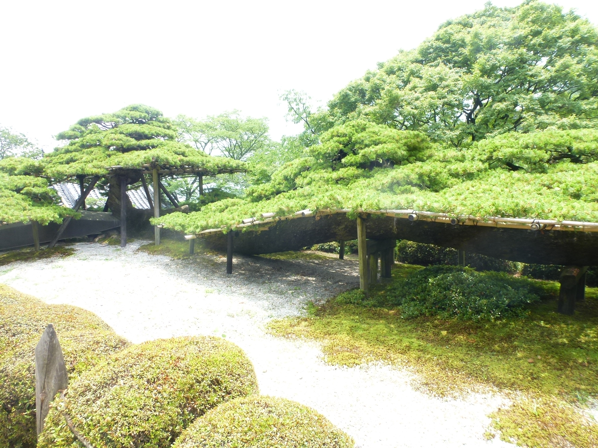 P1160684.JPG