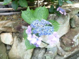 img0002.jpg