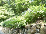 img0003.jpg