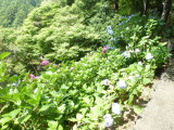 img0004.jpg
