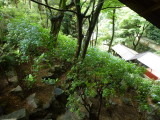 img0009.jpg
