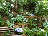 img0011.jpg