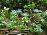 img0013.jpg