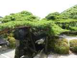 img0021.jpg