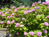 img0023.jpg