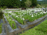 img0039.jpg