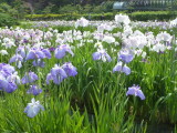 img0047.jpg