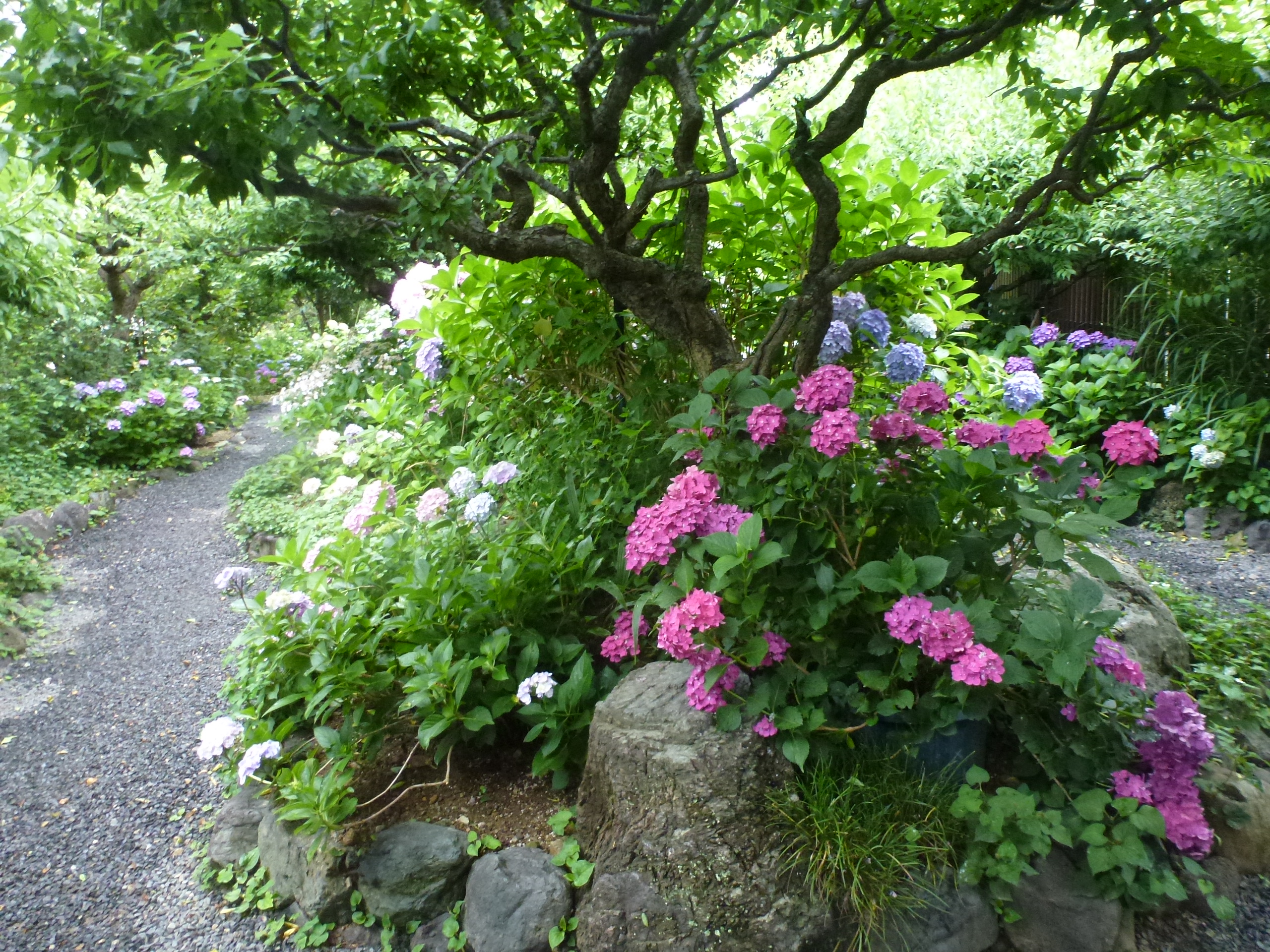 P1160741.JPG