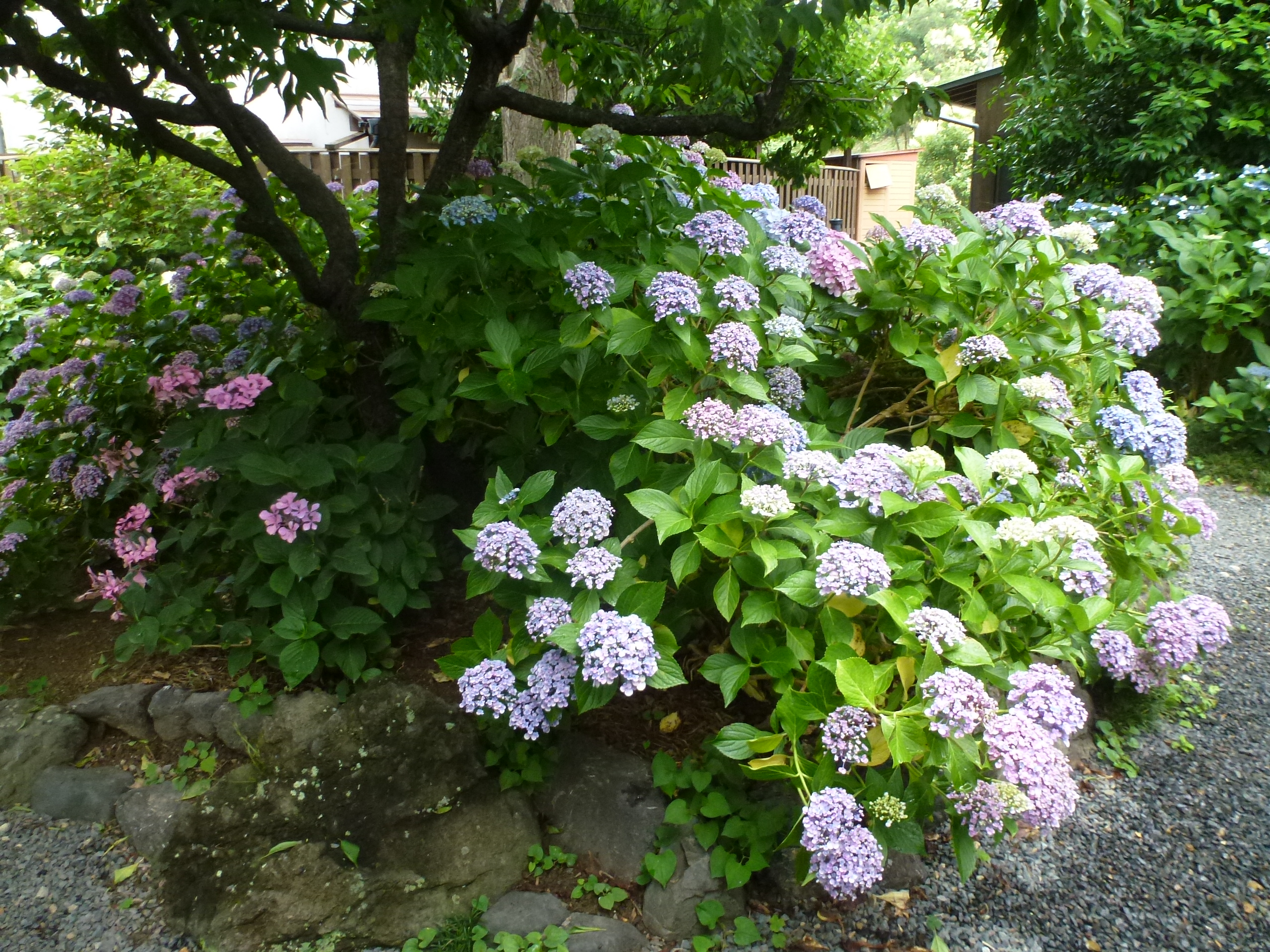 P1160744.JPG