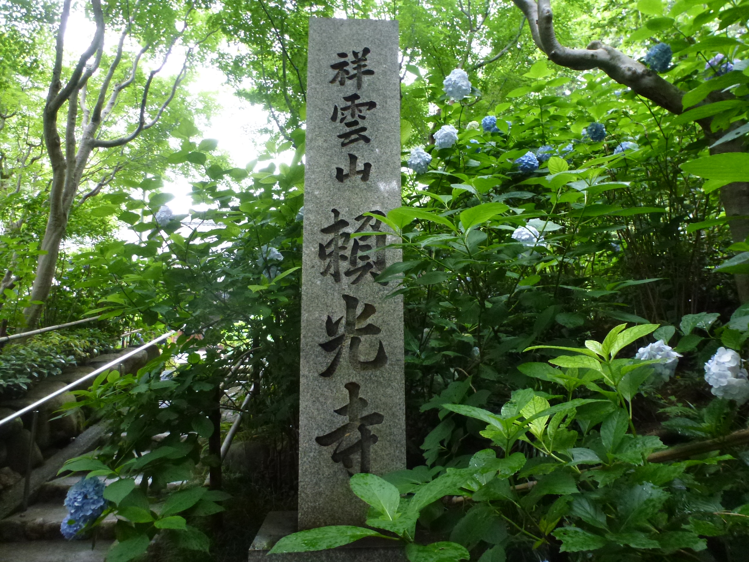 P1160749.JPG