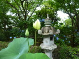 img0002.jpg