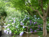 img0003.jpg