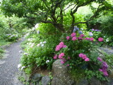 img0005.jpg