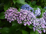img0007.jpg