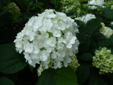 img0008.jpg