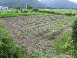 img0010.jpg