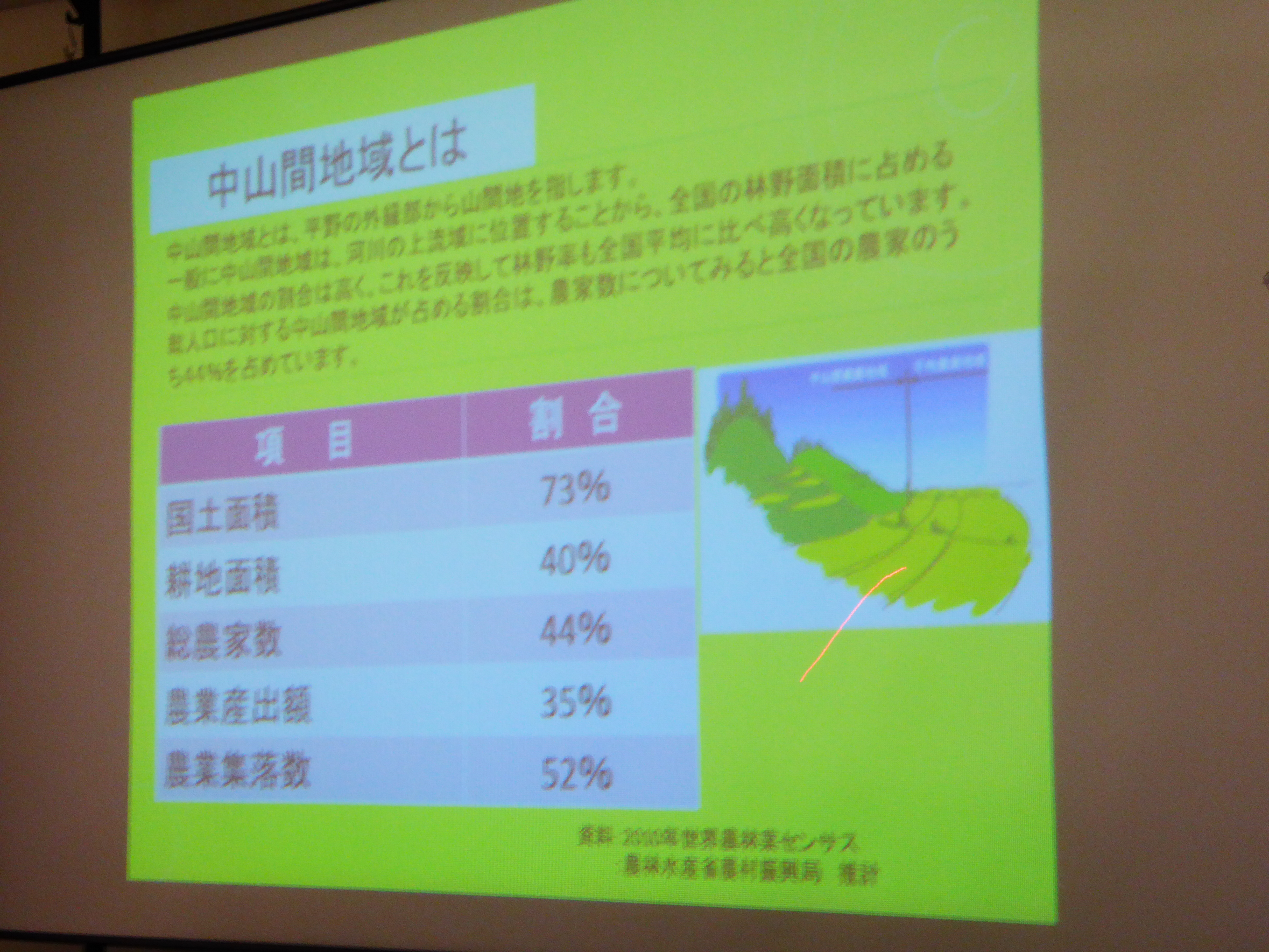 P1000088.JPG